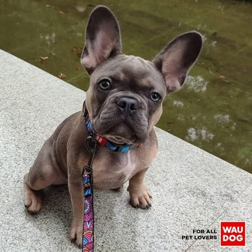WAUDOG Adjustable Nylon Dog Collar for Large Small Medium Set with QR Tag