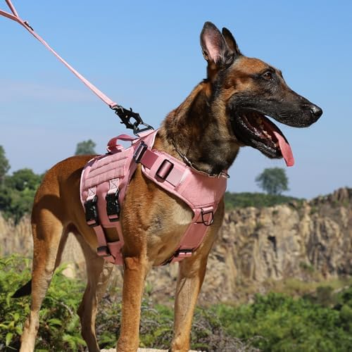 ICEFANG No Pull Tactical Dog Harness for Medium Dogs,Adjustable Dog Vest