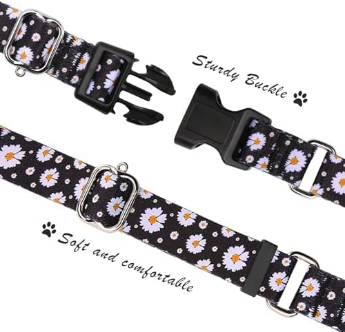 Hikiko Martingale Collar for Dogs with Special Pattern,Adjustable,M