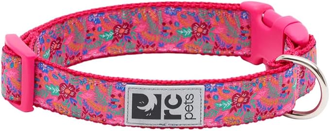 RC Pets 1 Inch Adjustable Dog Clip Collar, Medium, Bones (Large, Frida)