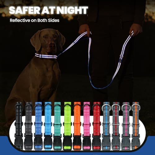 VIVAGLORY Double Handle Dog Leash Twingrip, 5ft x 1in, S, Navy