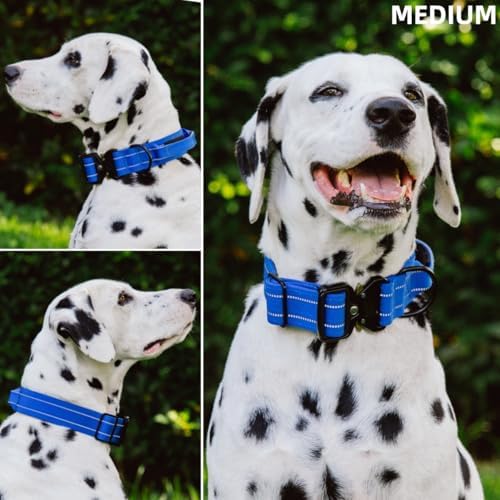 Tuff Pupper Tactical Dog Collar | Heavy Duty 1.5" Wide Ballistic Nylon | Training Control Handle | Quick-Release Metal Buckle | Reflective Bands | ID Tag Holder | Padded Inner Lining (Blue, Medium)