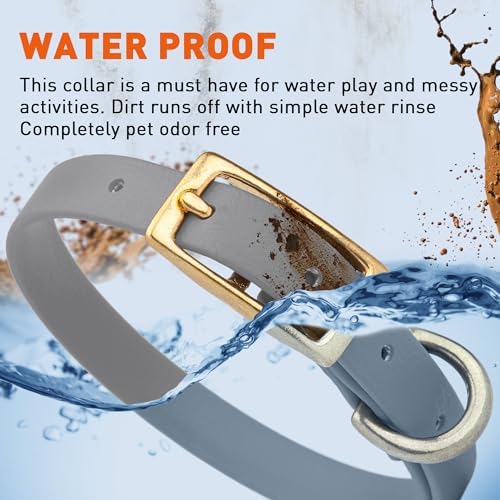 Viper Biothane Heavy Duty Waterproof Dog Collar Strong Coated Nylon Webbing w/Solid Brass Hardware Odor-Proof Easy to Clean High Performance Fits Small Medium or Large Dogs, Battleship Gray