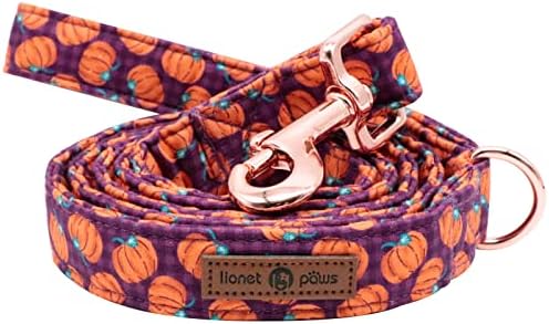 Lionet Paws Dog Leash,Handmade Dog Training Leash Pet Supply