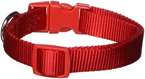 Zack & Zoey ⅝" Wide Nylon Dog Collar, Fits Necks 10" to 16", Tomato Red