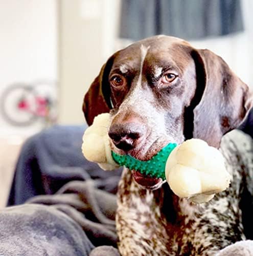 Nylabone Power Chew Double Action Barbell Bone Dog Chew Toy, X-Large