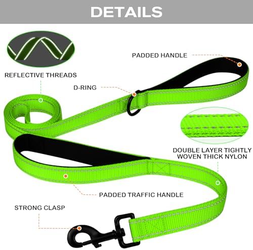 Joytale Dog Leash for Large Dogs that Pull, Double Handle, 6FT, Green