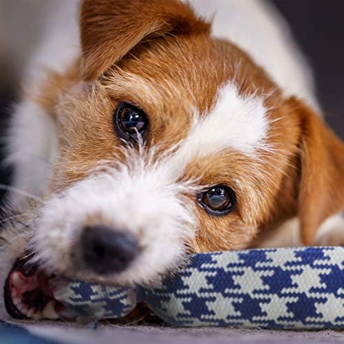 rocket & rex Puppy Tug Rope Toys for Small Dogs, Teething (4pk)