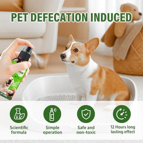 Potty Training Spray for Dogs, Indoor and Outdoor Housebreaking Aid, 120ml