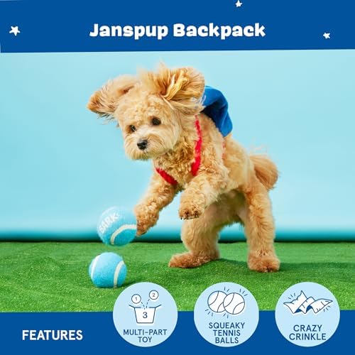 BarkBox Janspup Backpack 3-in-1 Interactive Plush Dog Toy