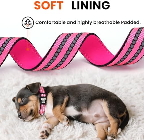 Personalized Dog Collar with QR Code Dog Tag, Rose Red L