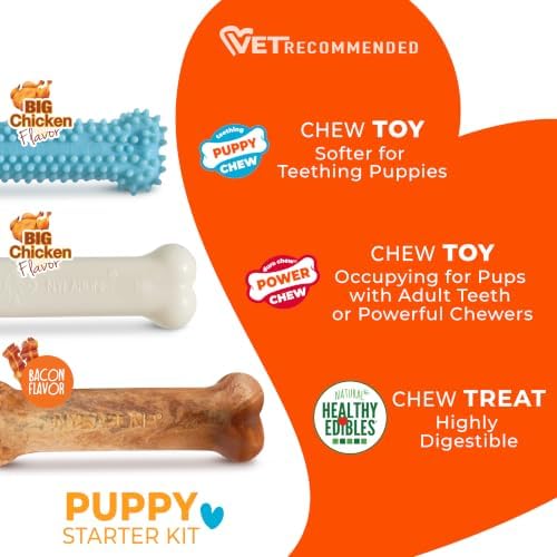 Nylabone New Puppy Starter Kit, Puppy Teething Toys, 3 Pack, Blue