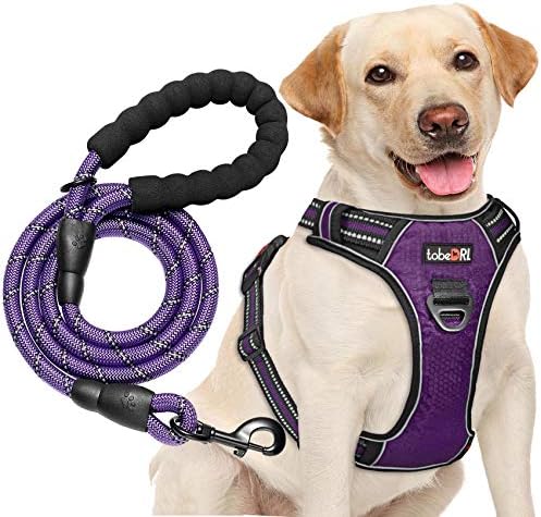 tobeDRI No Pull Dog Harness Adjustable Reflective Oxford Easy Control Medium Large Dog Harness with A Free Heavy Duty 5ft Dog Leash, Purple, L