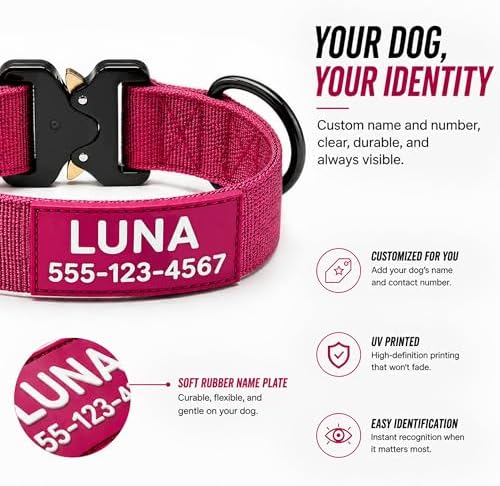 Caramel Personalized Tactical Dog Collar with Heavy Duty Nylon