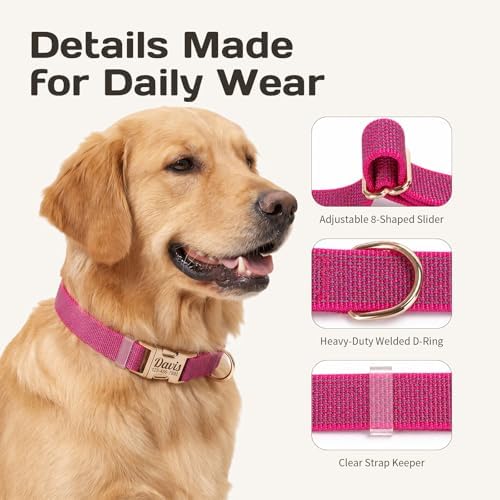 Custom Dog Collar with Name and Phone Number