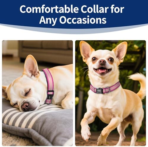Kazazoo Small Dog Collar,Reflective Puppy Collar with Soft Padding Dog Collar No Pull,Lightweight, Nylon Collar for Puppies, Chihuahua, Yorkie & Teacup Dog 3-10 Lbs Pink-XS