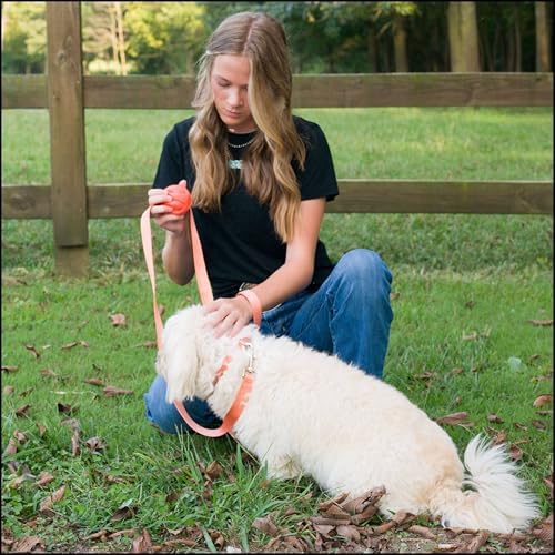 Country Brook Petz - Everyday Nylon Dog Collar for Large, Medium, and Small Dogs and Puppies - for Everyday Use in 30+ Colors (Large, 1 Inch Wide, Coral)