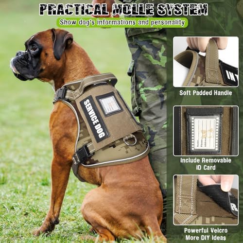 Tactical Dog Harness and Leash Set with 10 Patches for Large Dogs