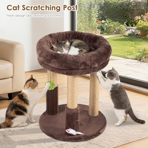 21” Tall Cat Scratching Post with Plush Cat Bed | Stable Cat Tree for Indoor Cats, Interactive Toy & Grooming Brush Included