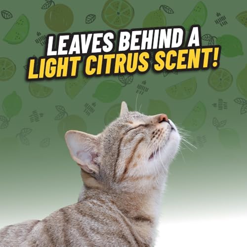 Chemical Guys, Ghosted Pet Odor Neutralizer Car Spray, Fresh Citrus, 16 oz