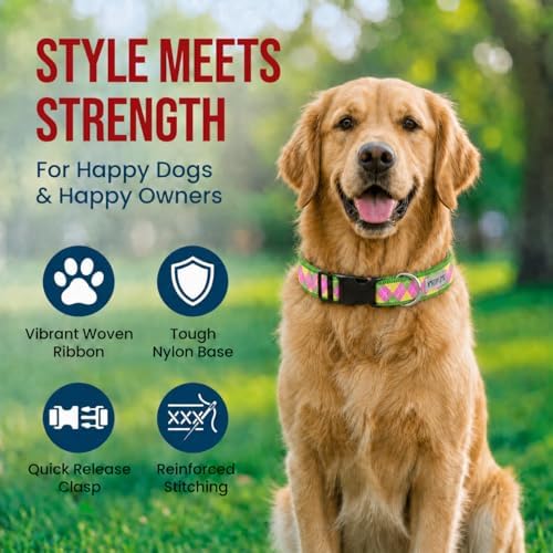 THE WORTHY DOG Summer Print, Adjustable Dog Collar, Large Dogs, Argyle
