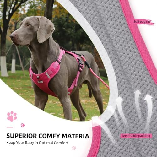 Dog Harness No Pull Adjustable Reflective,for Medium and Large Small Dog with Leash 59.06in (Fuscia, XS)