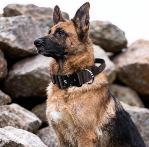Tactical Dog Collar with Handle(Dark Brown, XL)