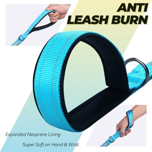 VIVAGLORY Double Handle Dog Leash Twingrip, 4ft x 1in, Blue
