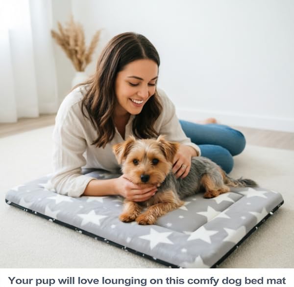 Dog Bed Mat, Reversible Crate Pad & Cute Dog Bed - Machine Washable Kennel Mat with Ultra Soft (Big&Small Stars Gray, 24" L*18" W*1.5" Th)