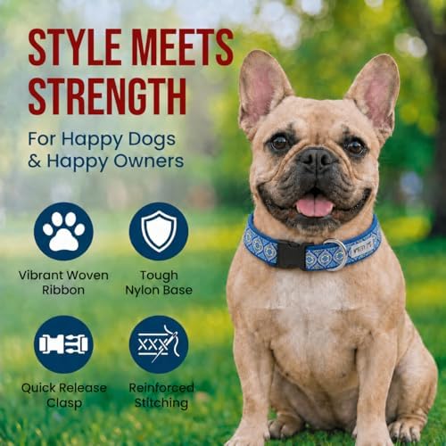THE WORTHY DOG Summer Print, Adjustable Dog Collar,Medium Dogs, Medallion