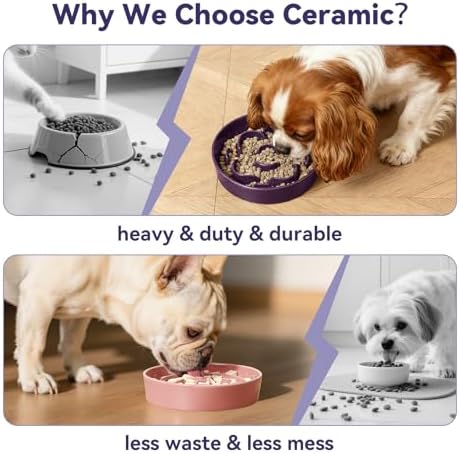 Ceramic Slow Feeder Dog Bowl - Feeding Dish for Fast Eaters - Maze Dog Bowl to Slow Down Eating - Ideal Food Control Dish for Small Breeds - 0.8 Cups (80g) - 6.3 Inch - White