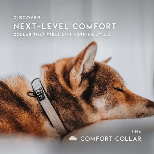 MADE TO ROAM Comfort Collar - Adjustable Nylon Dog Collar with Soft Comfortable Padding, Light Aviation Aluminum Metal Buckle for Small, Medium and Large Dogs (Montana Moonrise, Size 3)