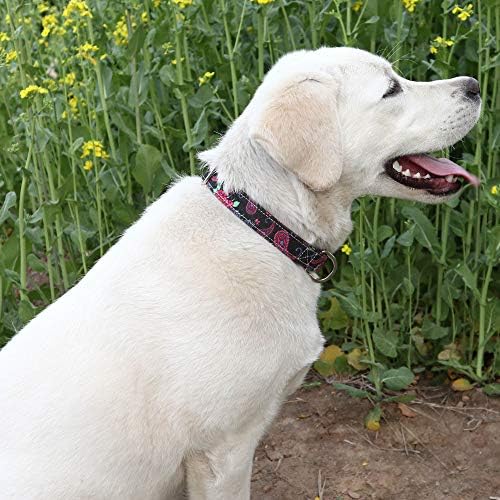 Customized Nylon Dog Collar, Personalized Dog Collar Engraved with Name and Phone Number,Adjustable ID Dog Collar with Quick-Release Buckle (S, Black)