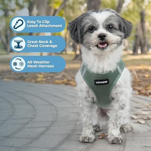 Best Pet Supplies - All Weather Mesh/Plush, Reflective, No Pull Harness for Small, Medium Dogs, Cats - Secure with Hook & Loop Fastener, Buckle, Double D-Rings - Moss Green, S