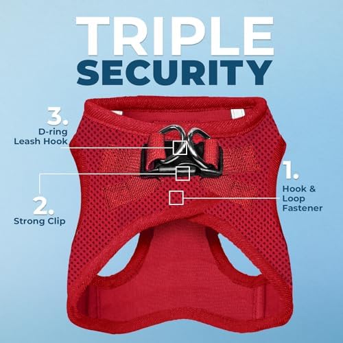 Best Pet Supplies Voyager Step-in Air All Weather Mesh Harness and Reflective Dog 5ft Leash Combo with Neoprene Handle, for Small, Medium and Large Breed Puppies - Red, Medium