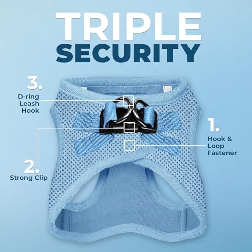 Best Pet Supplies Voyager Step-in Air All Weather Mesh Harness and Reflective Dog 5ft Leash Combo with Neoprene Handle, for Small, Medium and Large Breed Puppies - Baby Blue, Small
