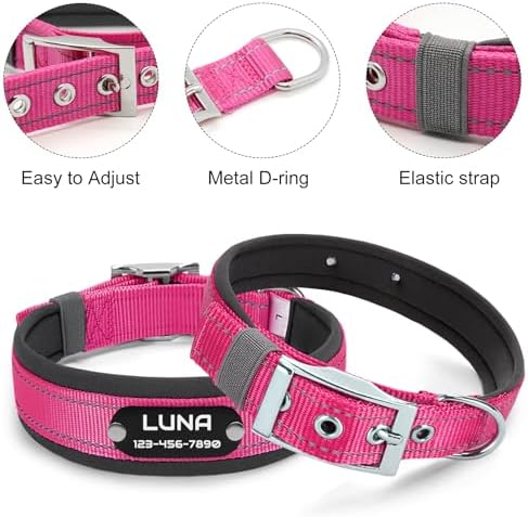 Custom Dog Collar with Engraved Name & Number, Turquoise: L