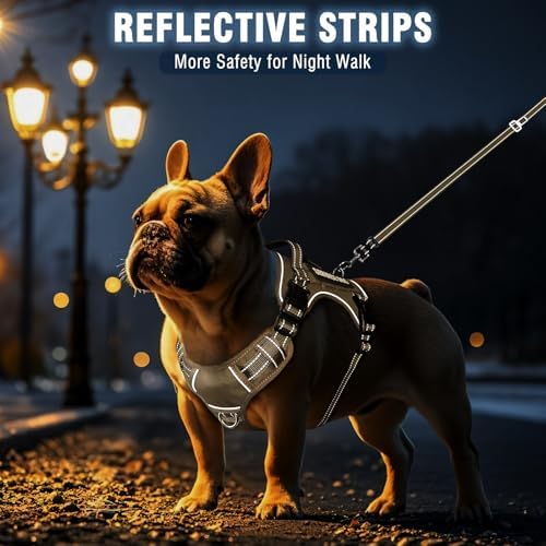 Tactical Dog Harness and Leash Set Medium Sized Dog+10 Dog Patches