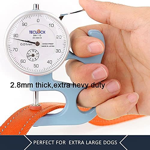 Plutus Pet Double Handle Dog Leash, 5 FT Long, for Medium Large Dogs