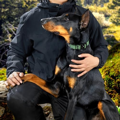 PawsPassion Dog Collars for X-Large Dogs, Heavy Duty Tactical Dog Collar with Metal Buckle, Durable Pet Collar Quick Release, Reinforced Nylon No Pull Dog Collar (Evergreen, XL)