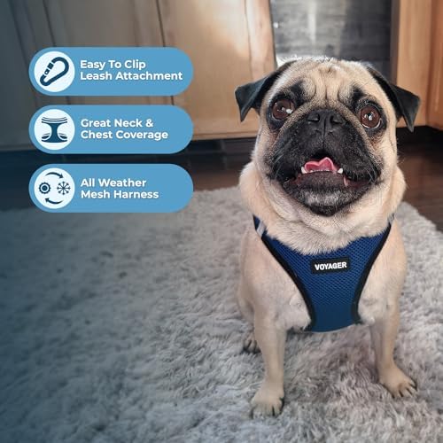 Best Pet Supplies Voyager Step-in Air All Weather Mesh Harness and Reflective Dog 5ft Leash Combo with Neoprene Handle, for Small, Medium and Large Breed Puppies - Blue/Black Trim, X-Large