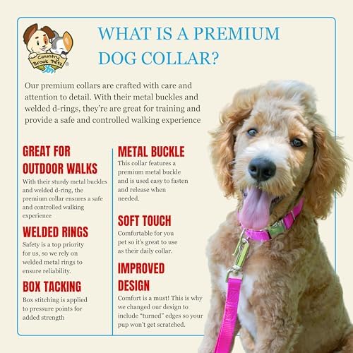 Country Brook Petz - Premium Nylon Dog Collar with Metal Buckle for Small Medium Large Breeds - 30+ Colors (Extra Large, 1 Inch, Fuchsia)