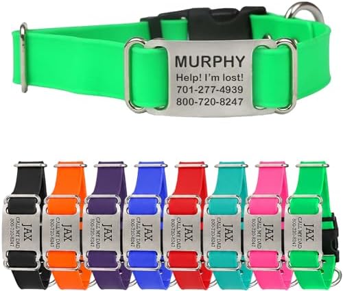 dogIDs Personalized Quick Release Waterprooft ScruffTag Dog Collar - Built-in Custom Laser Engraved Nameplate, Odor Resistant - Green, 1 in x 13-18 in (Fits Neck Sizes: 13-18 in)