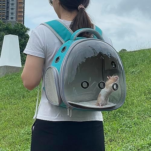 Portable Travel pet Backpack Carrier Hamster Bag Guinea Pig Bird Small Dog cat Turtle Carrier Rabbit Cage Squirrel Bearded Dragon Breathable Hangbag (Green)