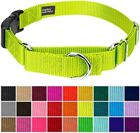 Martingale Dog Collar - Heavy Duty Nylon Adjustable Martingale Dog Collar with Plastic Buckle for Small Medium Large Breeds - 30+ Colors (1 Inch, Large, Hot Yellow)