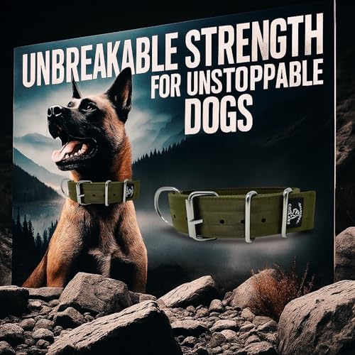 SparkDog 2” Working Dog Collar – Heavy Duty