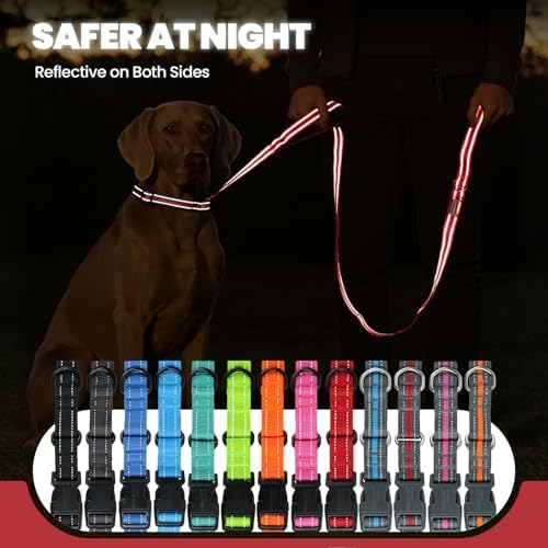 VIVAGLORY Double Handle Dog Leash Twingrip, 5ft x 1in, S, Red Grey