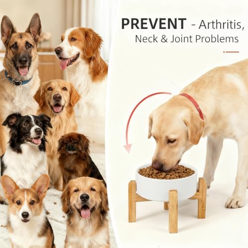 Elevated/Raised Ceramic Dog Bowl with Bamboo Stand，6 Inch 3.6 Cups Non Slip Heavy Weighted Single Pet Dish, for Small Medium Breed & Cats,Reduces Neck Strain White