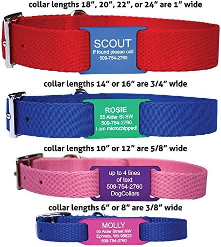 GoTags Dog Collar with Slide-on Dog Tag, Durable Nylon Dog Collar and Personalized Dog ID Tag Nameplate in Assorted Colors and Sizes