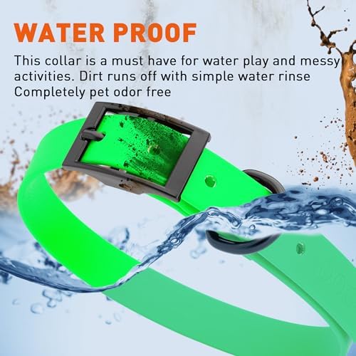 Dogline Biothane Waterproof Dog Collar Strong Coated Nylon Webbing with Black Hardware Odor- Proof for Easy Care Easy to Clean High Performance Fits Small Medium or Large Dogs, Tropical Green